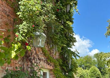Terrace apartment Terrassenblick Foto © Pia Boni